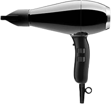 Elchim 3900 Healthy Ionic blow dryer